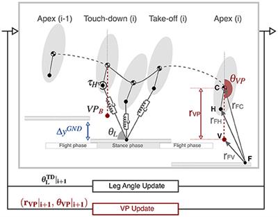 Virtual Point Control for Step-Down Perturbations and Downhill Slopes in <mark class="highlighted">Bipedal</mark> Running